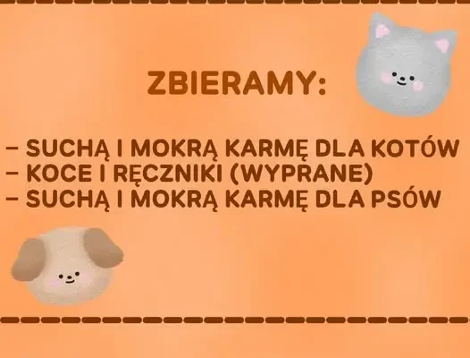 Jesienna zbiórka dla schroniska – pomóż bezdomnym psom i kotom