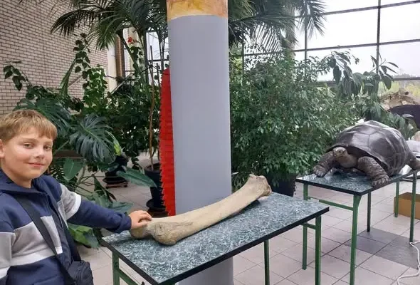 Noc Naukowców na Morasku: pijawki, suchy lód i mózg, który nas oszukuje