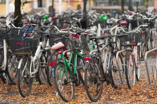 Dzień Bez Samochodu we Wrocławiu – zostaw auto i wybierz rower, spacer lub komunikację