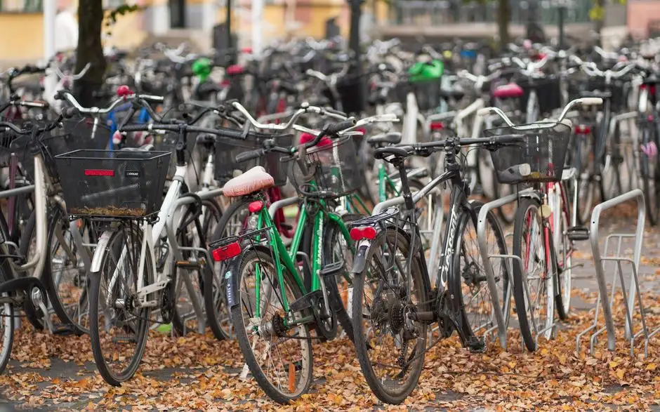 Dzień Bez Samochodu we Wrocławiu – zostaw auto i wybierz rower, spacer lub komunikację