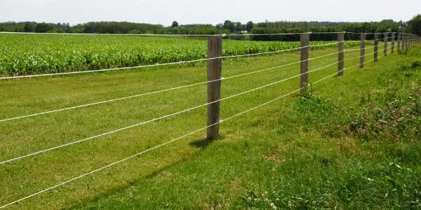Koło Łowieckie „Jarząbek” montuje elektryczne pastuchy i ostrzega przed kradzieżami