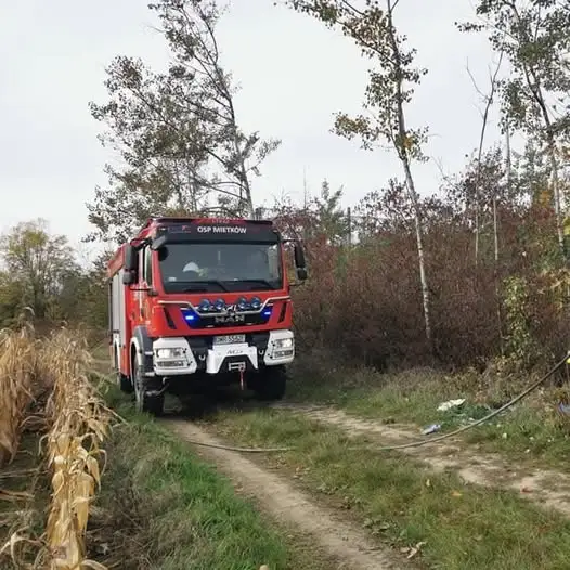 Pożar podkładów kolejowych w Proszkowicach — akcja strażaków