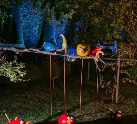Dyniowe Iluminacje we wrocławskim Ogrodzie Botanicznym – czwarta edycja trwa do niedzieli