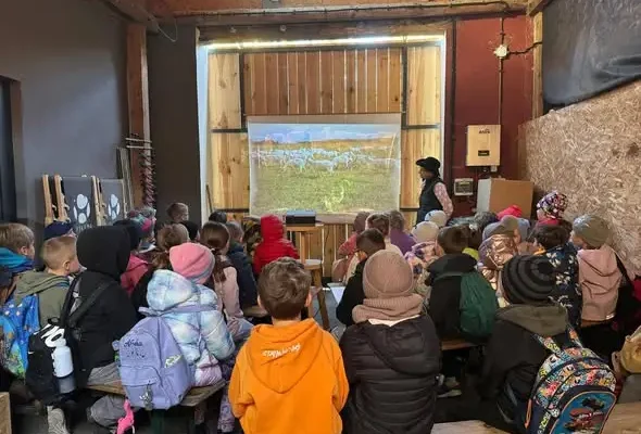 Uczniowie klas 2f i 2g z Siechnic odkrywali życie kóz w Zagrodzie Pełen Wypas