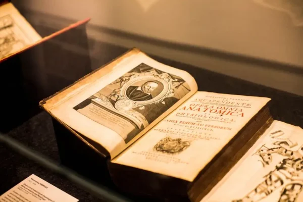Wystawa o historii pisma i Biblii w bibliotece w Długołęce